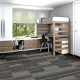 FEEDBACK-54565-VELOCITY-00501-room-image