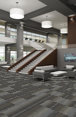 FEEDBACK-54565-VELOCITY-00501-room-image