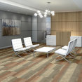 FEEDBACK-54565-RADAR-00603-room-image