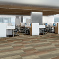 FEEDBACK-54565-RADAR-00603-room-image