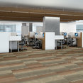 FEEDBACK-54565-RADAR-00603-room-image
