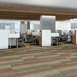 FEEDBACK-54565-RADAR-00603-room-image