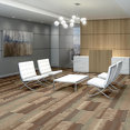FEEDBACK-54565-FREQUENCY-00700-room-image