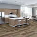 FEEDBACK-54565-FREQUENCY-00700-room-image