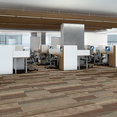 FEEDBACK-54565-FREQUENCY-00700-room-image