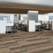 FEEDBACK-54565-FREQUENCY-00700-room-image