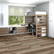 FEEDBACK-54565-FREQUENCY-00700-room-image