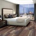 FEEDBACK-54565-ECHO-00902-room-image