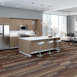 FEEDBACK-54565-ECHO-00902-room-image