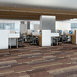 FEEDBACK-54565-ECHO-00902-room-image