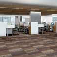FEEDBACK-54565-ECHO-00902-room-image