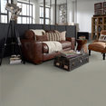 IN-HARMONY-54578-EUPHONY-78503-room-image