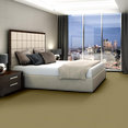 COLOR-ACCENTS-BL-54584-PECAN-62101-room-image