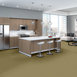 COLOR-ACCENTS-BL-54584-PECAN-62101-room-image