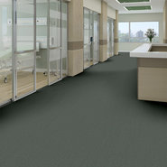 COLOR-ACCENTS-BL-54584-EUCALYPTUS-62320-room-image