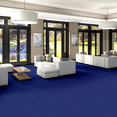 COLOR-ACCENTS-BL-54584-ELECTRIC-62408-room-image