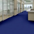 COLOR-ACCENTS-BL-54584-ELECTRIC-62408-room-image