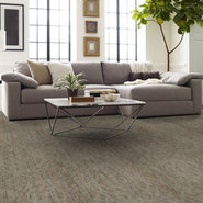AMAZE-54588-ASTONISH-00110-room-image