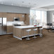 AMAZE-54588-BEWILDER-00205-room-image