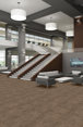 AMAZE-54588-BEWILDER-00205-room-image