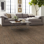AMAZE-54588-BEWILDER-00205-room-image
