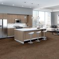 AMAZE-54588-SHOCK-00800-room-image