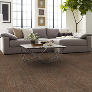 AMAZE-54588-SHOCK-00800-room-image
