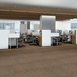 MYSTIFY-54589-BEWILDER-00205-room-image