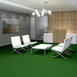 TACTIC-(S)-6'-54590-PASTURE-00300-room-image