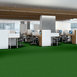 TACTIC-(S)-6'-54590-PASTURE-00300-room-image