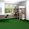 TACTIC-(S)-6'-54590-PASTURE-00300-room-image