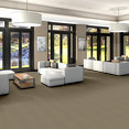 MULTIPLICITY-54593-PLETHORA-00105-room-image