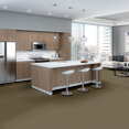 MULTIPLICITY-54593-ABUNDANCE-00200-room-image
