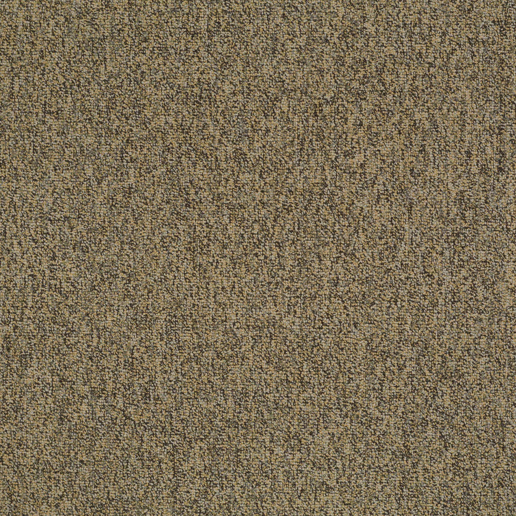 Multiplicity 24X24-Abundance-54594_00200