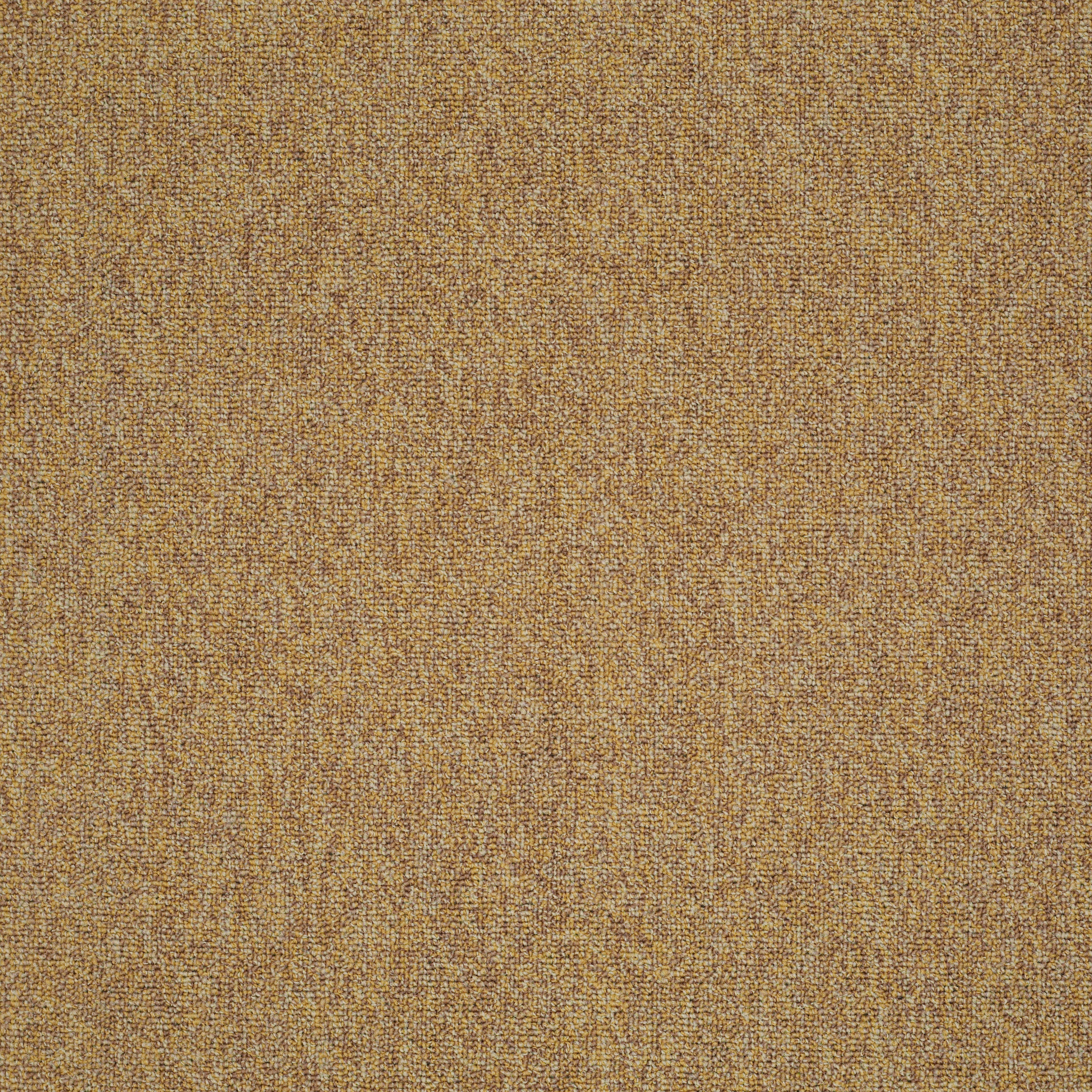 Multiplicity 24X24-Expansive-54594_00210