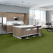 MULTIPLICITY-24X24-54594-EXUBERANT-00310-room-image