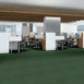 MULTIPLICITY-24X24-54594-PROFUSE-00315-room-image