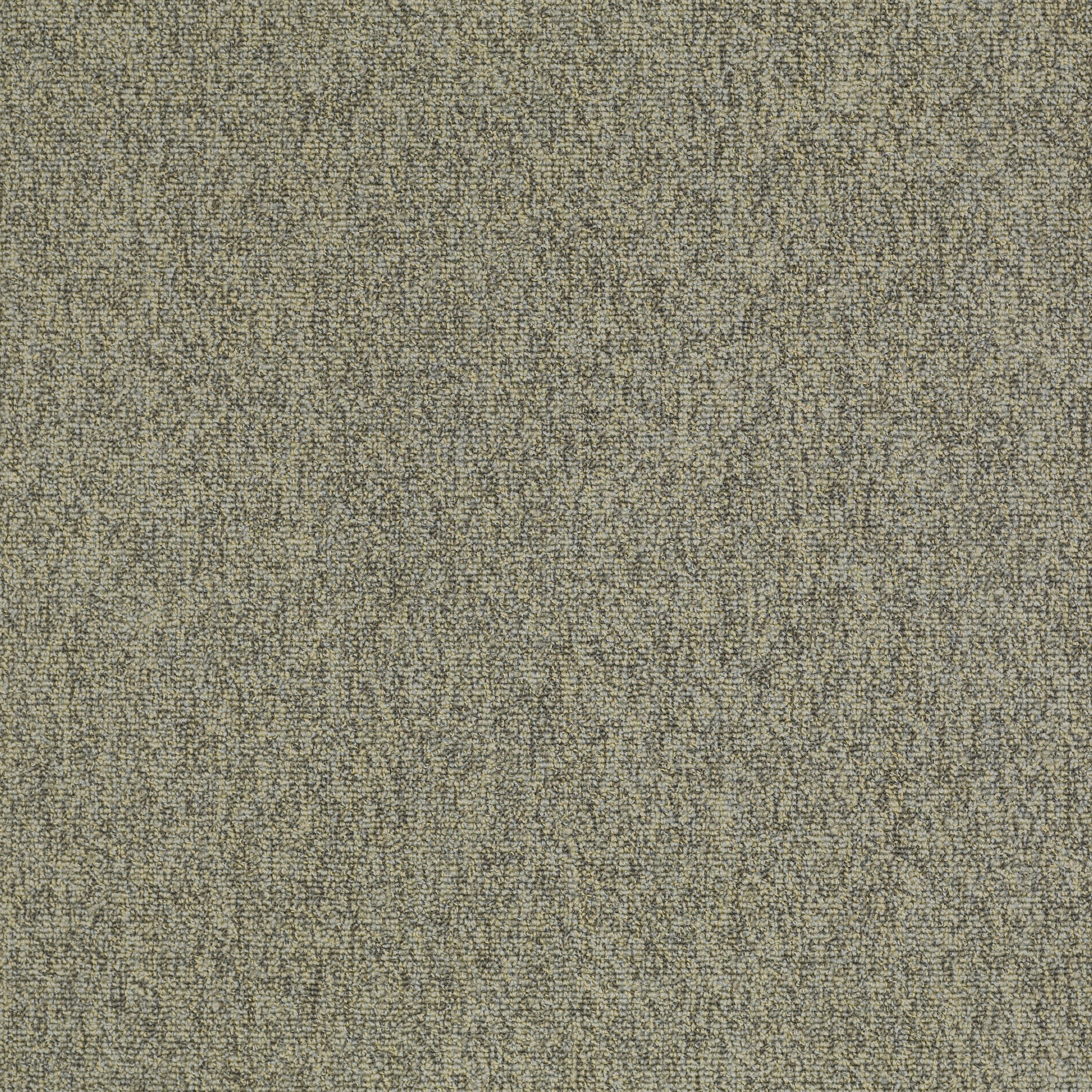 Multiplicity 24X24-Batch-54594_00500