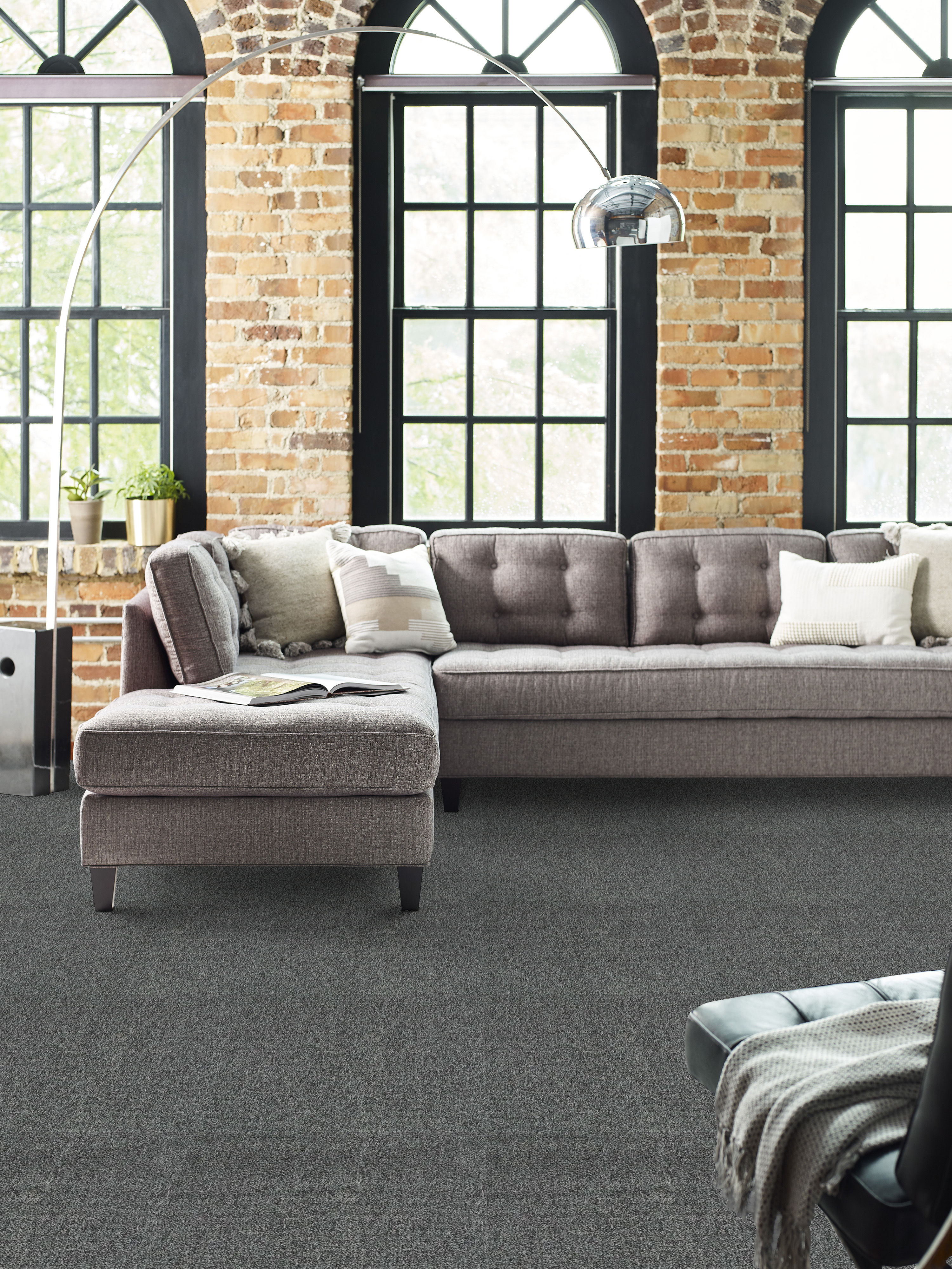 Multiplicity 24X24 - Surplus - 54594_00520