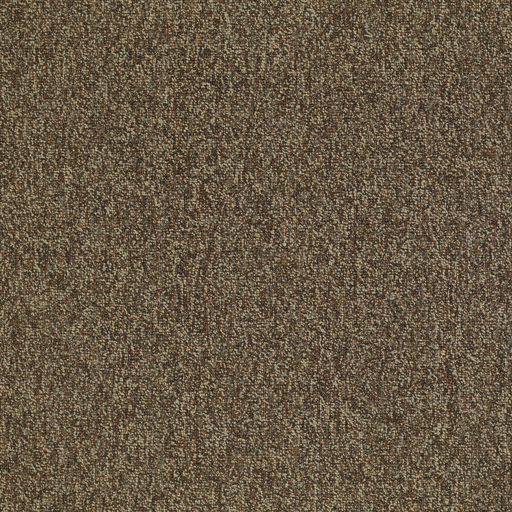 Multiplicity 24X24-Exuberance-54594_00705