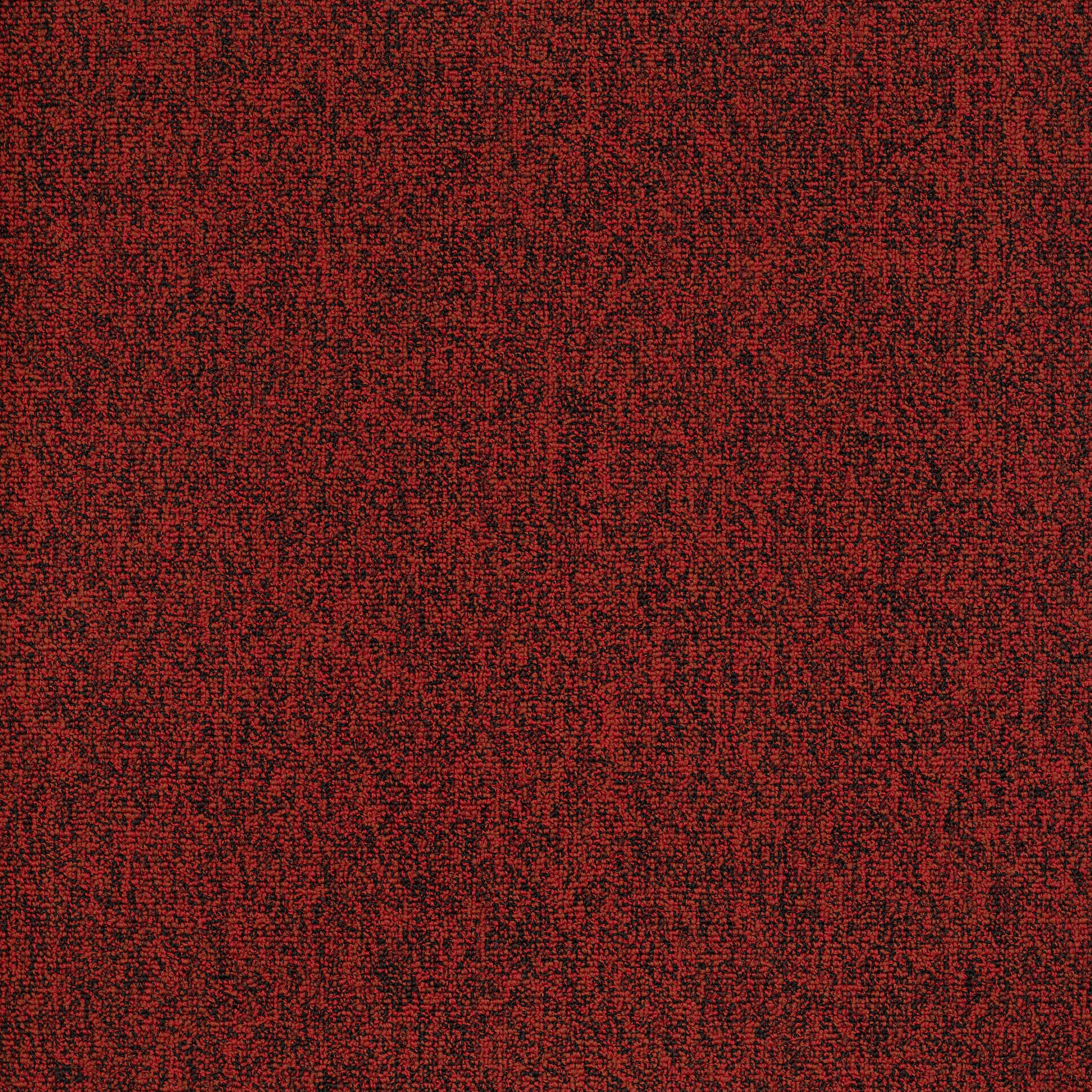 Multiplicity 24X24-Fortune-54594_00810