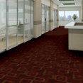 BOX-SUITE-54600-MEGABYTE-00650-room-image