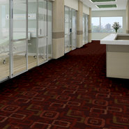 BOX-SUITE-54600-MEGABYTE-00650-room-image