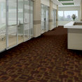 BOX-SUITE-54600-DATA-00750-room-image