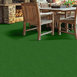 TACTIC-(S)-54622-PASTURE-00300-room-image