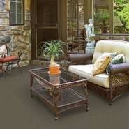 GARDENSCAPE-(T)-54629-BURNT-BARK-00701-room-image