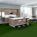 CABANA-(T)-54631-BACKYARD-00310-room-image
