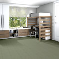 NATURAL-PATH-54636-RIVERVIEW-00400-room-image