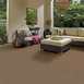 NATURAL-PATH-54636-TREE-HOUSE-00700-room-image