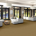 FUTURE-GENERATIONS-54644-DOERS-44102-room-image